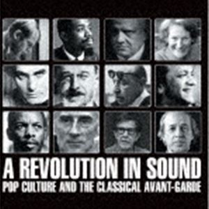 サウンド革命 ポップ・カルチャーを覚醒させたアヴァンギャルドの基礎知識 [CD]