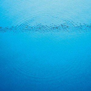 カリブー サドンリー詳しい納期他、ご注文時はお支払・送料・返品のページをご確認ください発売日2020/2/28カリブー / Suddenlyサドンリー ジャンル 洋楽クラブ/テクノ 関連キーワード カリブー※こちらの商品はインディーズ盤のため、在庫確認にお時間を頂く場合がございます。収録曲目11.Sister2.You and I3.Sunny’s Time4.New Jade5.Home6.Lime7.Never Come Back8.Filtered Grand Piano9.Like I Loved You10.Magpie11.Ravi12.Cloud Song 種別 CD JAN 4582561390173 組枚数 1 製作年 2020 販売元 ブリッジ登録日2020/02/13