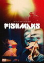 フィッシュマンズ／男達の別れ 98.12.28＠赤坂BLITZ DVD