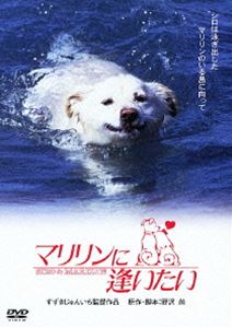 マリリンに逢いたい [DVD]
