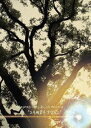 SAMBA DURO/MARCOS SUZANO + TAKASHI NUMAZAWA with EXPE + OKI mix by NAOYUKI UCHID...