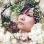 今井麻美 / この雲の果て（通常盤／CD＋DVD） [CD]