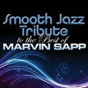 SMOOTH JAZZ TRIBUTE TO THE BES詳しい納期他、ご注文時はお支払・送料・返品のページをご確認ください発売日2013/10/8MARVIN SAPP / SMOOTH JAZZ TRIBUTE TO THE BESマーヴィン・サップ / スムース・ジャズ・トリビュート ジャンル 洋楽ブルース/ゴスペル 関連キーワード マーヴィン・サップMARVIN SAPP 種別 CD 【輸入盤】 JAN 0707541992190登録日2013/10/10