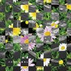 藤原ヒロシ / この先に [CD]