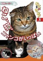 詳しい納期他、ご注文時はお支払・送料・返品のページをご確認ください発売日2008/6/21動物ムービー DVDシリーズねこ（猫）ざ ランド 1（ねこ、猫、ニャンコがいっぱい） ジャンル 趣味・教養動物 監督 出演 動物ムービーシリーズの「ねこ編」第1巻。様々な種類の日本の猫とグッズを紹介する、ドキュメントタッチのねこ特集です。谷中のグッズショップや、コーヒー店の良介くん、京橋のねこスポットや猫ちゃん通りでの猫たち、下町佃島のアイドルねこや、西伊豆での可愛い斉藤カールくん、富士サファリパークのねこの館のたくさんの猫たちと他、全編ニャンコがいっぱいです。 種別 DVD JAN 4994220710206 収録時間 62分 カラー カラー 組枚数 1 音声 日本語DD（ステレオ） 販売元 アドメディア登録日2008/04/30