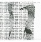 ペンギン・カフェ・オーケストラ / ペンギン・カフェ・オーケストラ -ベスト- [CD]