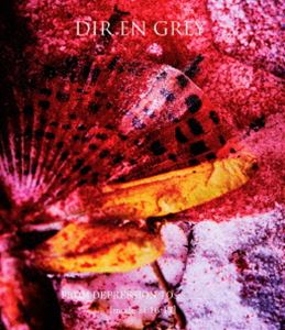 DIR EN GREY／FROM DEPRESSION TO＿＿＿＿＿＿［mode of 16-17］ [Blu-ray]