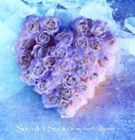 鈴木祥子 / My Sweet Surrender [CD]
