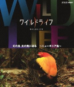 ワイルドライフ 幻の鳥 炎の舞に迫る ニューギニア島 [Blu-ray]