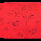 サザンオールスターズ / BRAND-NEW SOUND 31： 涙のキッス [CD]