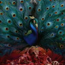 輸入盤 OPETH / SORCERESS [CD]