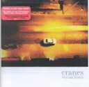 輸入盤 CRANES / FUTURE SONGS CD