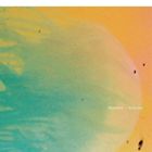 フルクション / トレイシズ [CD]