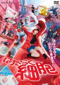 はたらく細胞【通常版】 [DVD]