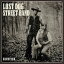 輸入盤 LOST DOG STREET BAND / SURVIVED [LP]