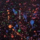 てふてふ / 歪みと叫び [CD]