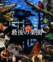 詳しい納期他、ご注文時はお支払・送料・返品のページをご確認ください発売日2011/9/22NHKスペシャル ホットスポット 最後の楽園 Blu-ray BOX ジャンル 国内TVドキュメンタリー 監督 出演 絶滅の恐れがある珍しい生き物が集中している地域“ホットスポット”。珍しい哺乳類・鳥類・両生類の75％が集中する、陸地のわずか2％あまりの「最後の楽園」で繰り広げられる、大自然の営みと進化の不思議を壮大なスケールで描いたドキュメンタリー。ナレーションに福山雅治を迎えて贈る。プロローグと全6回放送分を一つにしたBlu-ray BOX。特典映像ホットスポット 福山雅治 最後の楽園へ／ホットスポットの撮影舞台裏“この大迫力の映像はこうして撮影された!”関連商品NHKスペシャル ホットスポット最後の楽園NHKスペシャル一覧セット販売はコチラ 種別 Blu-ray JAN 4527427810242 収録時間 385分 カラー カラー 組枚数 2 製作年 2011 製作国 日本 字幕 日本語 音声 日本語リニアPCM（ステレオ）日本語ドルビーTrueHD（5.1ch） 販売元 アミューズソフト登録日2011/07/06