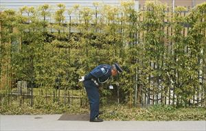 ゴールド・パンダ / グッド・ラック・アンド・ドゥ・ユア・ベスト [CD]