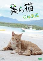 美ら猫 石垣島編 [DVD]