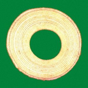 Rakuten - 【特典付】↑THE HIGH-LOWS↓ / バームクーヘン（限定盤） (初回仕様) [レコード 12inch]