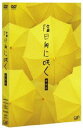 詳しい納期他、ご注文時はお支払・送料・返品のページをご確認ください発売日2008/7/16陰日向に咲く 愛蔵版 ジャンル 邦画ドラマ全般 監督 平川雄一朗 出演 岡田准一宮崎あおい伊藤淳史平山あや緒川たまき塚本高史西田敏行三浦友和劇団ひとりの同名ベストセラーを原作に、”どこか日の当たらない”人々の姿をユーモア溢れる優しい視点で綴ったヒューマンドラマ。メガフォンを握るのは、｢その時は彼によろしく｣の平川雄一朗。キャストには、V6の岡田准一、｢ただ、君を愛してる｣の宮崎あおいら若手人気スターと、西田敏行、三浦友和といったベテラン大スターが集結。不器用で冴えない、カッコ悪い、けれども愛おしい。日陰な人々の人生に共感、笑って泣けて元気になれる感動作。夏の東京。借金地獄のシンヤ(岡田准一)はオレオレ詐欺を働くが、相手の老婆と親しくなってしまいカネを引き出せない。母・鳴子の思い出探しをする寿子(宮崎あおい)は、売れない芸人・雷太(伊藤淳史)に恋した若い頃の母が働いていたストリップ劇場へ向かうが・・・。封入特典デジパック仕様／ブックレット／みゃーこCD（ふりむキッス）／特典ディスク特典映像「陰日向に咲く」メイキング／花咲け!!みゃーこ 完全版／完成披露試写会の模様／アクターズ・インタビュー集／各種スポット集／未公開シーン特典ディスク内容｢陰日向に咲く｣メイキング／花咲け!! みゃーこ 完全版／完成披露試写会の模様／アクターズ・インタビュー集／各種スポット集／未公開シーン関連商品宮崎あおい出演作品西田敏行出演作品岡田准一出演作品金子ありさ脚本作品2000年代日本映画 種別 DVD JAN 4988021131247 収録時間 129分 カラー カラー 組枚数 3 製作国 日本 音声 DD（ステレオ） 販売元 バップ登録日2008/04/18