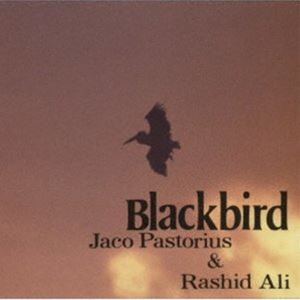 ジャコ・パストリアス〜ラシッド・アリ（b／ds） / ブラックバード（通常価格盤） [CD]