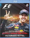 2012 FIA F1 EI茠 W S{ BD [Blu-ray]