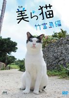 [DVD] 美ら猫 竹富島編