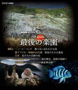 詳しい納期他、ご注文時はお支払・送料・返品のページをご確認ください発売日2011/9/22NHKスペシャル ホットスポット 最後の楽園 Blu-ray DISC 2 ジャンル 国内TVドキュメンタリー 監督 出演 福山雅治絶滅の恐れがある珍しい生き物が集中している地域“ホットスポット”。珍しい哺乳類・鳥類・両生類の75％が集中する、陸地のわずか2％あまりの「最後の楽園」で繰り広げられる、大自然の営みと進化の不思議を壮大なスケールで描いたドキュメンタリー。ナレーションに福山雅治を迎えて贈る。「第4回 ニュージーランド」「第5回 アフリカ」「第6回 日本」を収録。特典映像ホットスポット 福山雅治 最後の楽園へ／ホットスポットの撮影舞台裏“この大迫力の映像はこうして撮影された!”関連商品福山雅治出演作品NHKスペシャル ホットスポット最後の楽園NHKスペシャル一覧 種別 Blu-ray JAN 4527427810266 収録時間 147分 カラー カラー 組枚数 1 製作年 2011 製作国 日本 字幕 日本語 音声 日本語リニアPCM（ステレオ）日本語ドルビーTrueHD（5.1ch） 販売元 アミューズソフト登録日2011/07/06