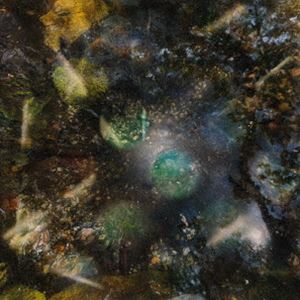 Green-House / A Host for All Kinds of Life [CD]