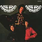 輸入盤 JIMI HENDRIX / ARE YOU EXPERIENCED （UK SLEEVE EDITION） [LP]