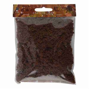 ���ܤι��ե顼���ץ��� �֥å��� �������(����) 24-376 N������