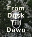 abingdon boys school / From Dusk Till Dawn [CD]