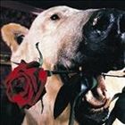 フラワーカンパニーズ / フラカンのフェイクでいこう＋恋をしましょう＋7 [CD]のサムネイル