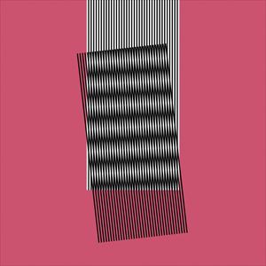 輸入盤 HOT CHIP / WHY MAKE SENSE? [CD]