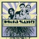 輸入盤 DIGABLE PLANETS / BEYOND SPECTRUM CD