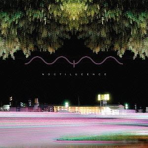 Artist Name: P - マーク・マグワイヤ / ノクティルーセンス [CD]