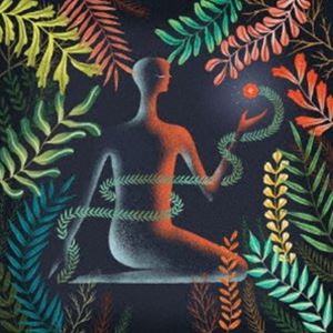  / ɥȡ㥤 [CD]