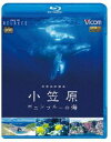 詳しい納期他、ご注文時はお支払・送料・返品のページをご確認ください発売日2019/6/21ビコム Relaxes BD 世界自然遺産 小笠原 〜ボニンブルーの海〜 ジャンル 趣味・教養カルチャー／旅行／景色 監督 出演 ボニンブルーと称される濃紺の美しい海に囲まれた小笠原諸島、そこに8K、6K、5K、4Kカメラを持ち込み、国内外で活動する水中カメラマン、ドローン操縦士、DITエンジニア等の第一級のスタッフによって冬と夏に大規模な撮影を実施。圧倒的なスケールの自然景観、ガラスの生態系といわれる繊細な固有種、天空いっぱいに広がる星空、南島の半化石など世界自然遺産小笠原ならではの光景に迫る。関連商品ビコム4K Relaxesシリーズ 種別 Blu-ray JAN 4932323551333 収録時間 59分 カラー カラー 組枚数 1 製作年 2018 製作国 日本 音声 リニアPCM（ステレオ） 販売元 ビコム登録日2019/03/11