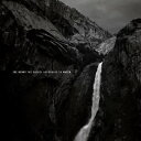 輸入盤 JOE HENRY / GOSPEL ACCORDING TO WATER 2LP