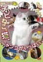 詳しい納期他、ご注文時はお支払・送料・返品のページをご確認ください発売日2008/12/20ねこ（猫）ざランド Vol.3 チビねこ、猫、ニャンコがいっぱい ジャンル 趣味・教養動物 監督 出演 動物ムービーシリーズの「ねこ編」第3巻。今回は生後1、2ヶ月の子ねこ達と、デブねこや色々な日本のねこを紹介する。ドキュメントタッチのねこ特集のパート2です。元気なかわいい子ねこ達と、谷中のネコカフェ「29」や、あのボクシング世界チャンピオン・内藤選手の宮田ジム、都会のノラ達、銭湯のデブねこなど、今回も全編ニャンコの世界です。 種別 DVD JAN 4994220710336 カラー カラー 組枚数 1 音声 日本語DD（ステレオ） 販売元 アドメディア登録日2008/10/06