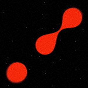 BAAUER / PLANET’S MAD [CD]