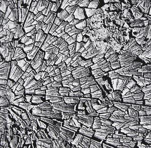 Artist Name: A Line - Earth No Mad / Mud Day [CD]