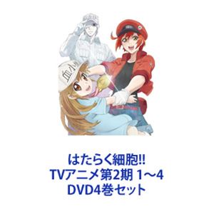 はたらく細胞!! TVアニメ第2期 1～4 [DVD4巻セット]