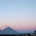 ジョセフ・オウアー / フレオ [CD]