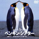 ペンギン シアター／南極大陸からの贈り物 DVD