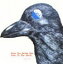ストロベリー・パス / 大鳥が地球にやってきた日 [CD]