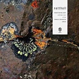 輸入盤 SEBASTIAN MULLAERT / NATTHALL [2LP]