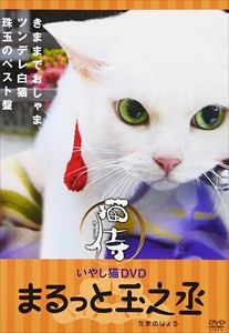 いやし猫 DVD 猫侍 まるっと玉之丞 [DVD]