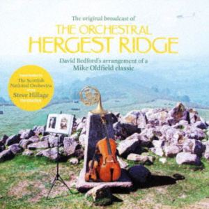 マイク・オールドフィールド＆デヴィッド・ベッドフォード・ウィズ・スティーヴ・ヒレッジ / オーケス..